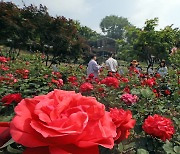 [충북·세종 날씨] 내일 흐리고 더위 주춤... 낮 최고 21~24도