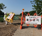 4년4개월만에 뚫린 구제역에 경기도·축산농가 비상