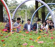 한국관광100선·경기관광축제…'자라섬 꽃 페스티벌' 이번 주말 '팡파르'