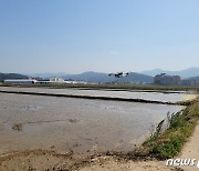 "일손 부족 드론으로 해결" 삼척시 '드론직파 벼 재배단지' 추진