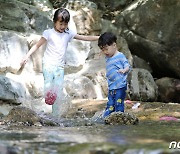 '더위가 반가운 동심'