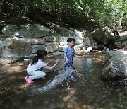 시원한 계곡에서 즐기는 물놀이