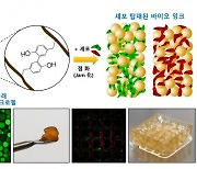 해조류 성분으로 미래 '배양육' 만들까...고해상도 바이오잉크 개발