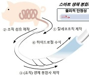 수술실이 염증을 감지하고 약물도 전달한다