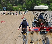 충남도, ‘고령 은퇴 농업인 연금제’ 추진…“농촌 세대교체 도모”