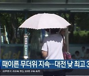 대전·세종·충남 때이른 무더위 지속…대전 낮 최고 31도