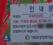 구제역 농가 10곳으로…“동남아에서 바이러스 유입”