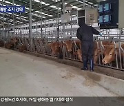 충북서 4년 만에 ‘구제역’ 발생…강원도, 방역 ‘비상’