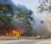 ‘소나무 숲 대형 산불’, ‘소각행위에 의한 잦은 산불’…산불 트렌드 맞춘 대책 마련