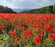 남녀가 '생각'을 늘어 놓으면 싸우게 되는 이유