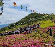 김해 신어산 철쭉축제 21일 개최…문화행사 다양