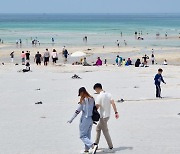 제주 해수욕장 북적북적