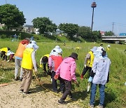 경기 안성 일죽농협, 일죽면 해바라기 마을 조성 박차