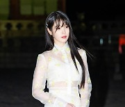 아이유,'생일날 여신자태 뽐내' [사진]