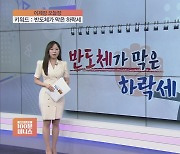 [어제장 오늘장] 반도체가 하락 막았다…회복 전망에 하방 압력 방어