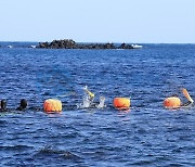 제주도, 75세 이상 해녀 은퇴 수당 3년간 월 50만원으로 인상