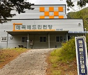 불법으로 짓더니 예산없어 철거도 못해… 애물단지된 울산 북구 체육시설