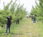 대구파티마병원, 1사 1촌 농촌일손돕기 실시