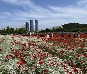 6천만 송이 '활짝'…태화강 국가정원 봄꽃축제 19∼21일 개최