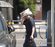 '과자로 피하는 햇볕'