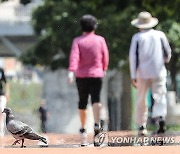 대구 32.7도·김천 34.2도…이틀째 30도 넘는 무더위(종합)