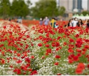 울산시 "태화강 국가정원 봄꽃축제 만끽하세요"