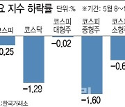 대형주 뜨고 중소형주 지고…증시 '부익부 빈익빈'