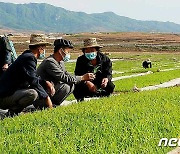 "적기에 와닥닥 해제끼자"…5월 중 모내기 '결속' 박차 가하는 北