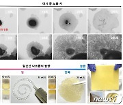 국내 연구진, 반죽처럼 촉촉한 전해질로 이차전지 성능 높여