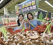 햇 주대마늘 할인 판매 돌입