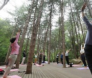 산 속에서 요가 수업 받는 시민들