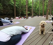 의왕시, 산림치유 프로그램 진행