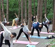 맑은 공기 마시며 요가 하는 시민들