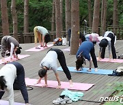 맑은 공기 마시며 요가 하는 시민들