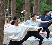 피톤치드 가득한 숲속에서 요가