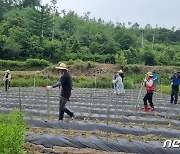 전북 진안군 주천면, 화재 피해 입은 농가 일손돕기…20명 참여