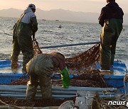 군산시, 수산분야 외국인 계절근로자 확대…"일손 부족 해소"