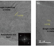 이차전지 리튬 금속 음극재, 성능·안정성 높일 방법 찾았다