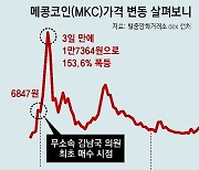 [단독]김남국, 매매 코인 최소 41종… 15종이 P2E 관련