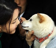 “대통령실에 개 30마리 풀겠다”는 집회…법원은 ‘동물학대’ 이유로 제동[사건 Zoom In]