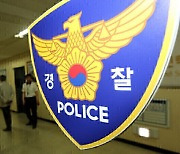 "화분이 예뻐서"... 길가 화분 상습 절도 50대 여성