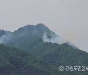 철원서 군부대 사격장서 또 산불…이틀간 세 차례