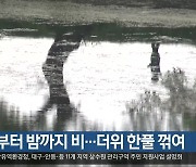 대구·경북 아침부터 밤까지 비…더위 한풀 꺾여