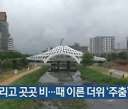 대전·세종·충남 흐리고 곳곳 비…때 이른 더위 ‘주춤’