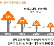 그린피스 "꽃·나무 면적 2배 이상 늘려야 꿀벌 집단 폐사 막을 수 있어"