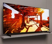 [단독] 삼성, LGD 패널 탑재 83인치 OLED TV 하반기 공개