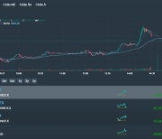 [베트남증시 18일 마감시황] VN지수 7.87p(0.74%) 상승 1,068.31 '은행주-부동산주-원자재주 '3형제' 급등세로 낙관론 '솔솔'…상승 마감'