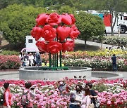 울산대공원 장미축제 24일 개막