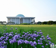 [포토친구] 푸른 오월 풍경