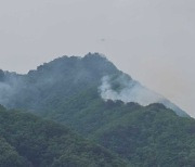 강릉·철원서 군부대 사격 훈련 중 잇따라 산불